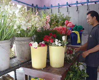 Main Image Harga Bunga Mawar di Magelang