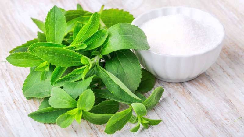 Main Image Update Harga Gula Stevia (Beragam Merk)