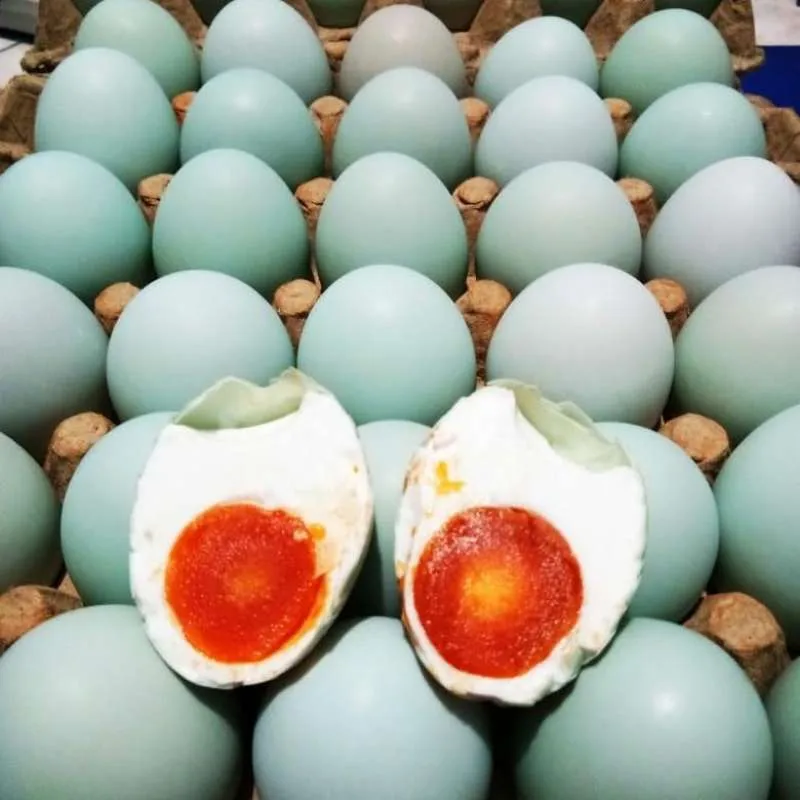 Main Image Update Harga Telur Asin Brebes yang Paling Enak