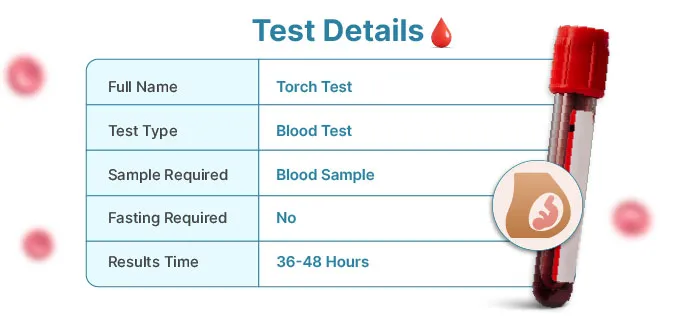 Test Torch Ffe Prosedur dan Biaya Tes TORCH untuk Ibu Hamil | Harga.web.id