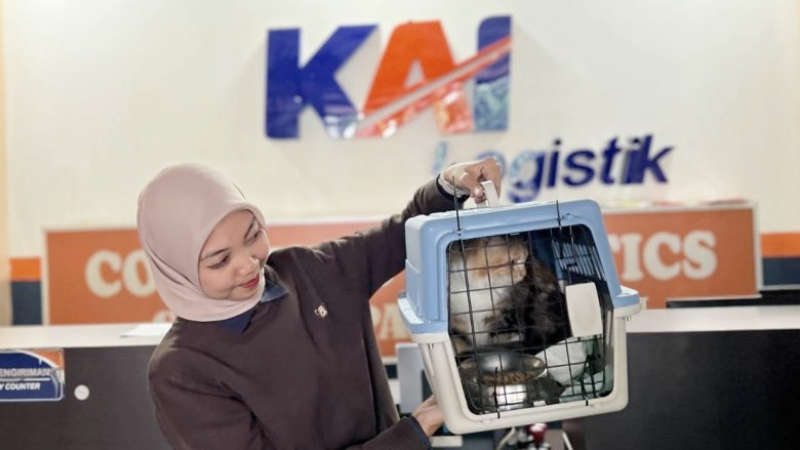 Container Kalog Info Terbaru Tarif Pengiriman KALOG (Kereta Api Logistik) | Harga.web.id