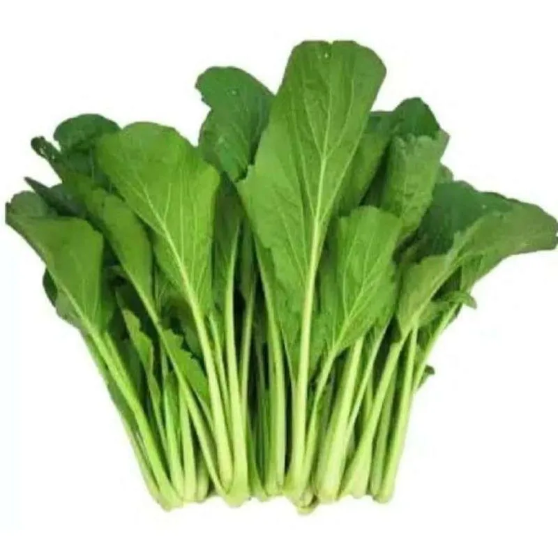 Main Image Update Harga Sawi Hijau per Kg (Pasar, Indomaret, Situs E-Commerce)