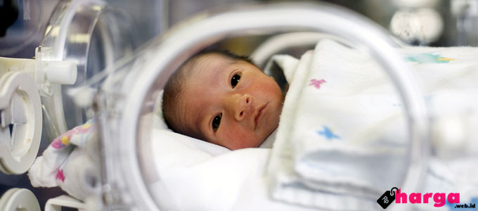 Info Harga Berbagai Merek Susu Formula untuk Bayi  Prematur  