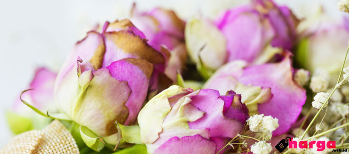 Info Terbaru Harga Bunga Mawar Bouquet Dan Setangkai Daftar Harga Tarif