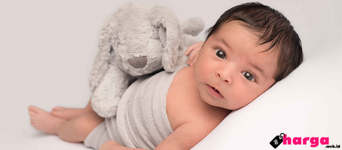 Info Harga Popok Sekali Pakai Merek Mamy Poko untuk Bayi