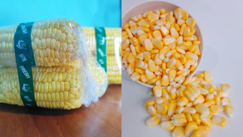Main Image Update Daftar Harga Jagung Per Kg di Berbagai Wilayah Indonesia