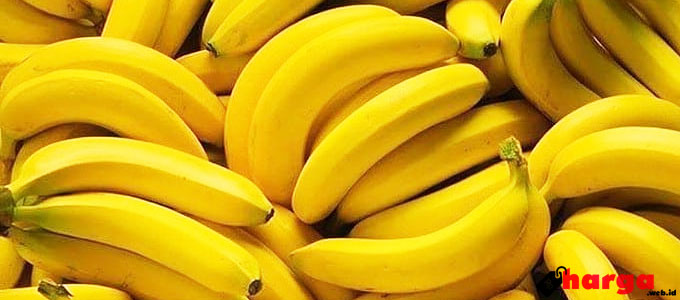 agrobisnis, buah, daun pisang, kilogram, pertanian, pisang, pohon, pupuk, tanah, tanaman, usaha